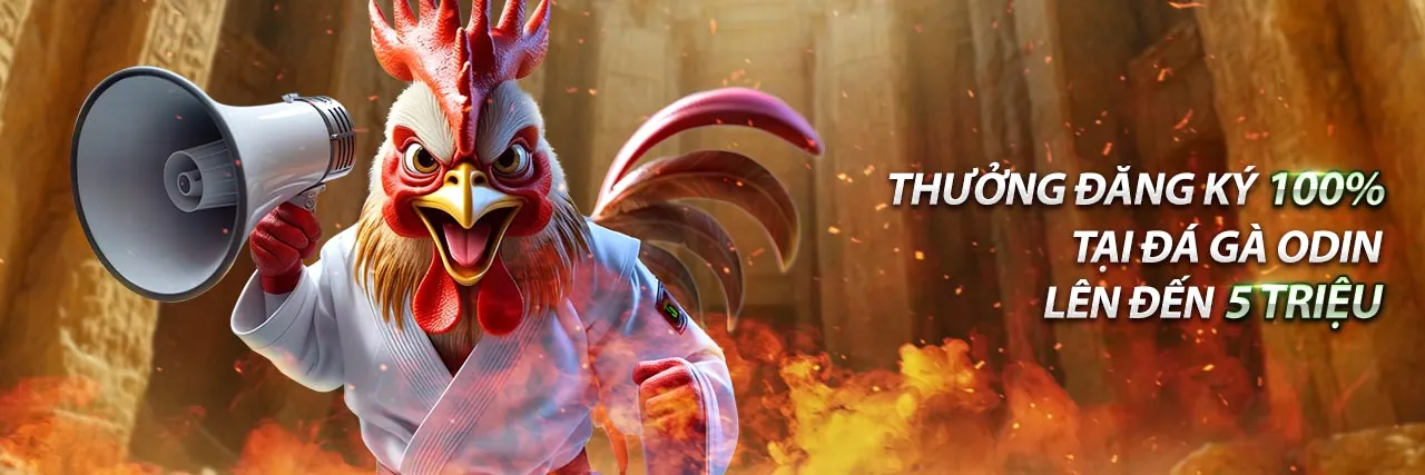 Cá cược bóng rổ